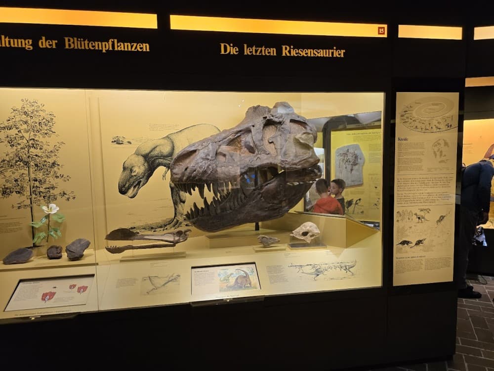 Museum of Man and Nature