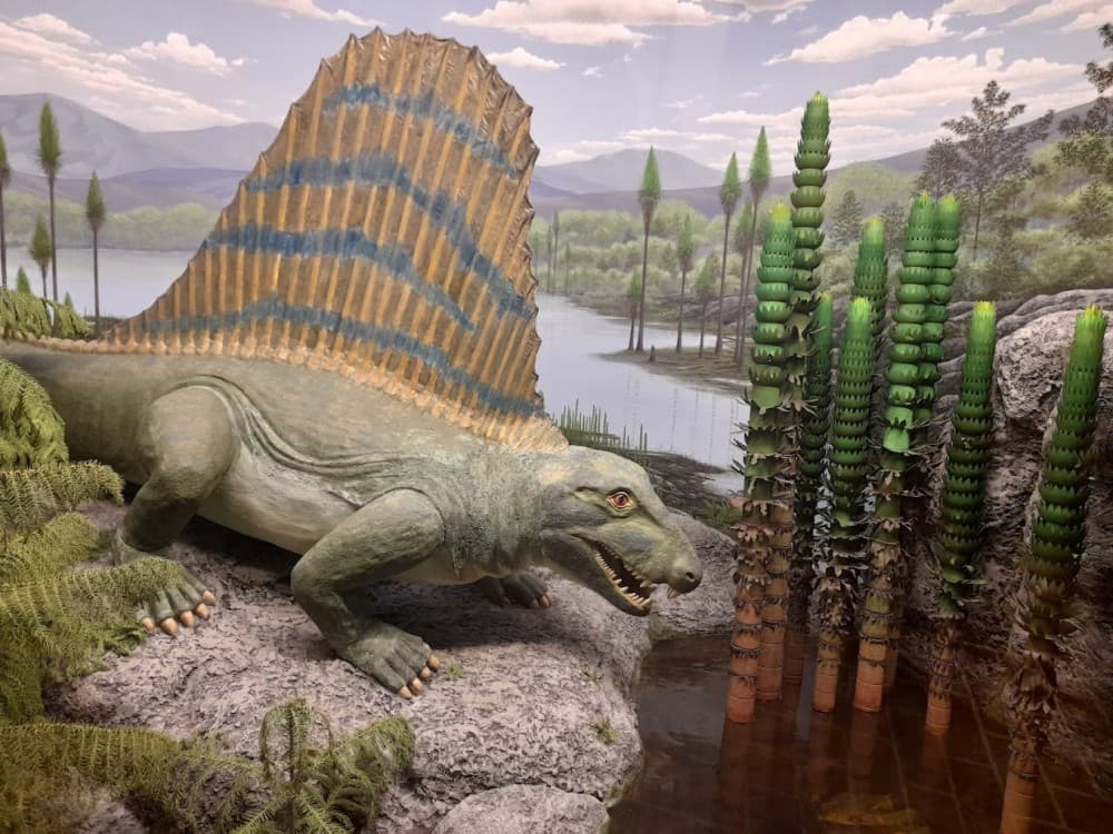 Museum of Man and Nature