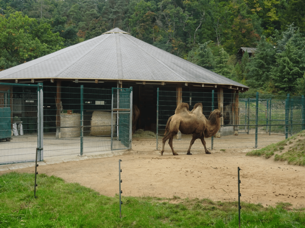 Zoo Plzen