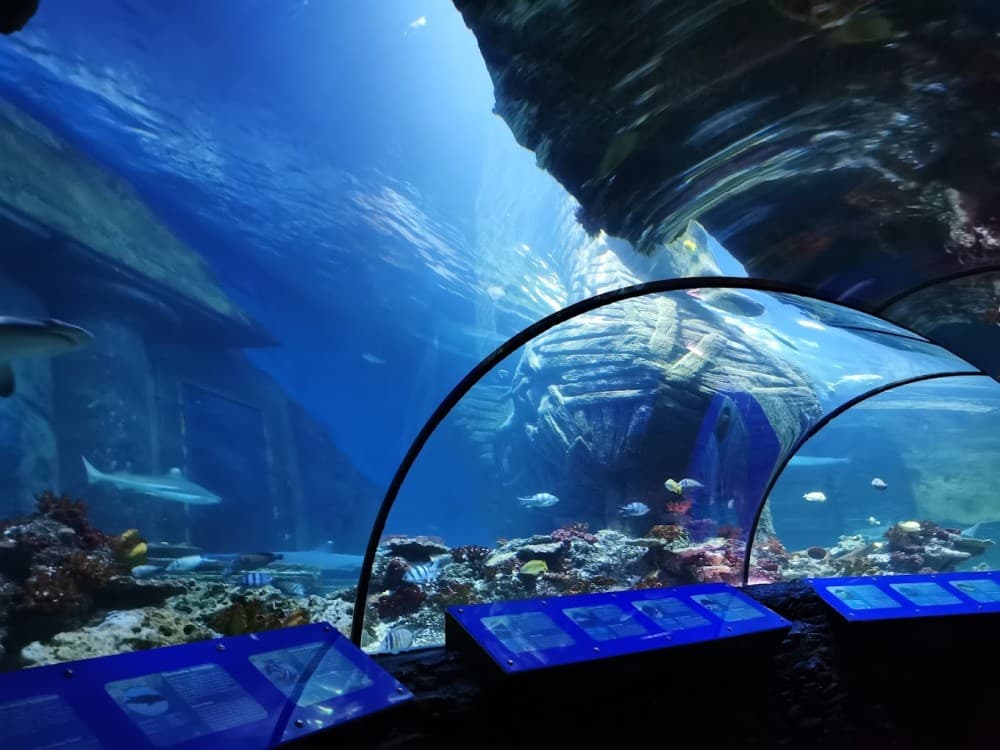 Munich: Sea Life Munich | ®ExcursionMania