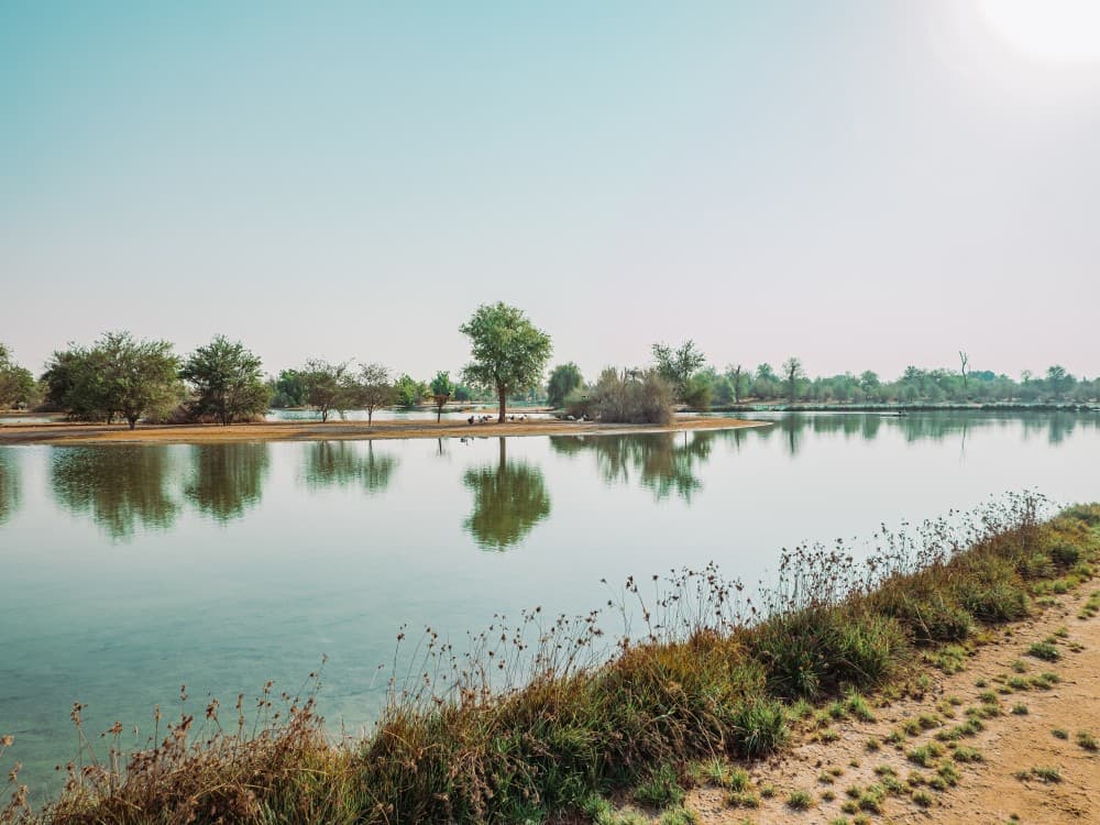 Al Qudra Lakes