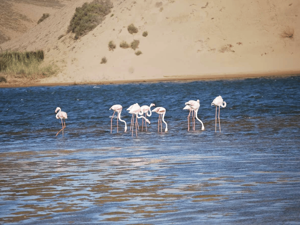 What Are the Best Day Trips from Agadir?