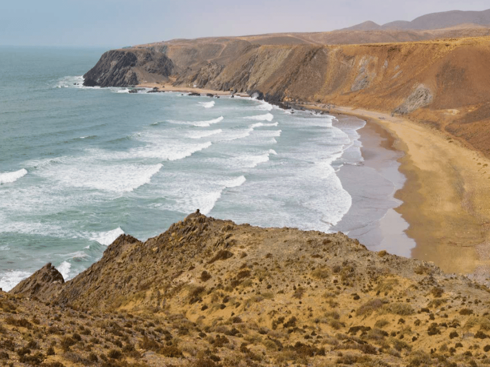 What Are the Best Day Trips from Agadir?