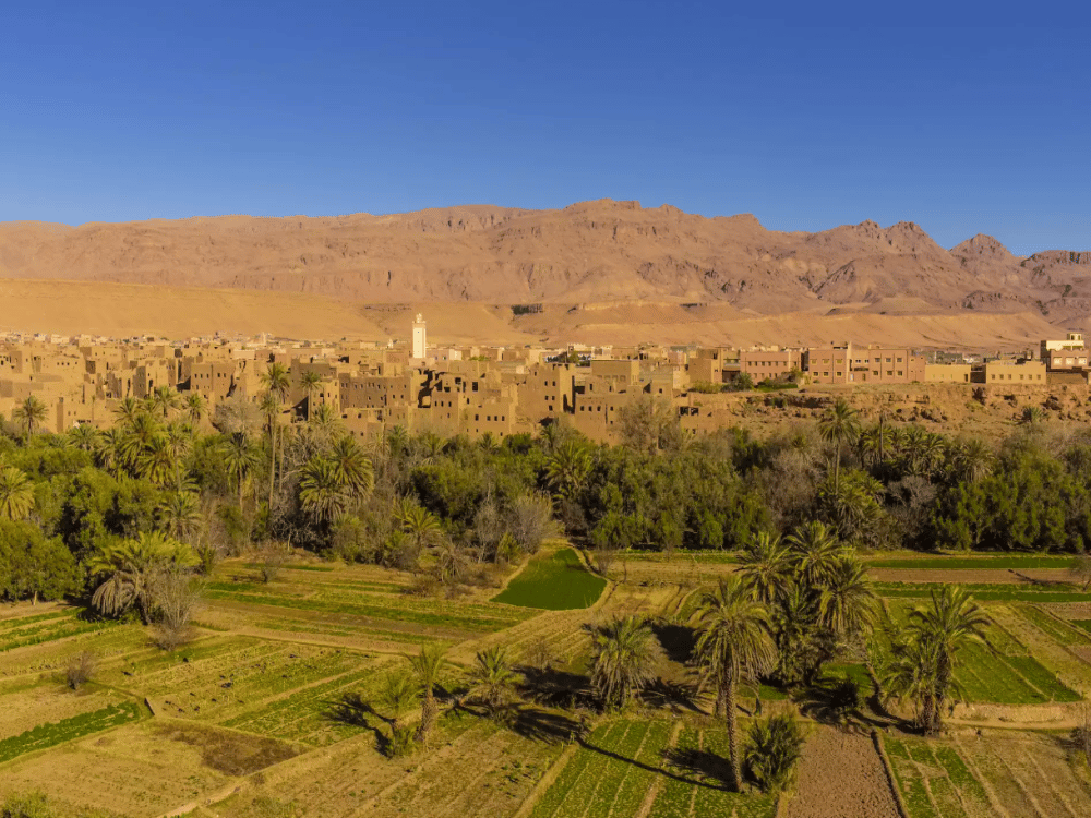 What Are the Best Day Trips from Agadir?