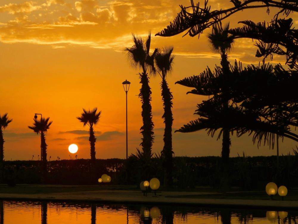 Casablanca: What Is the Best Month to Visit Casablanca? | ®ExcursionMania