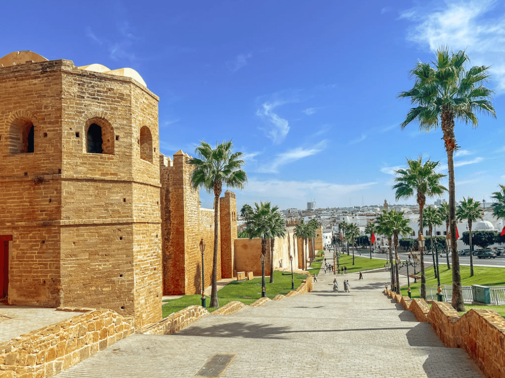What Are the Best Day Trips from Casablanca?