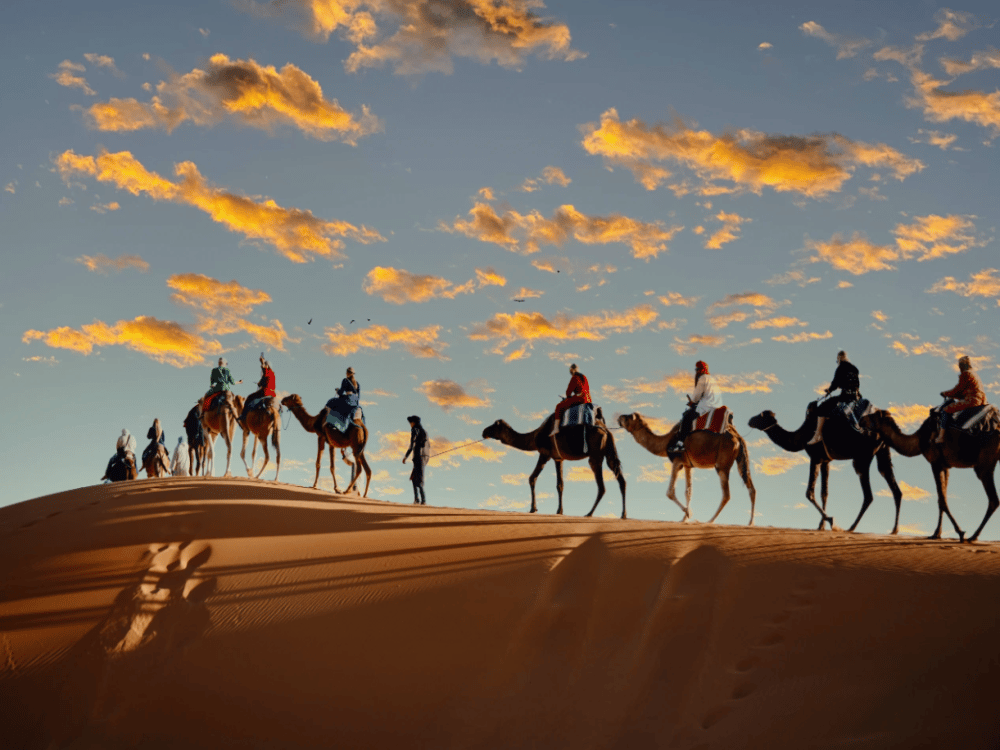 What Is the Best Month to Visit Marrakech?