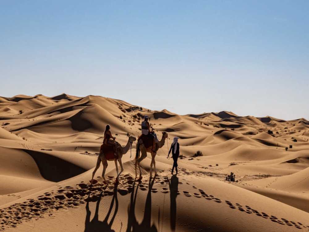 What Is the Best Month to Visit Merzouga?