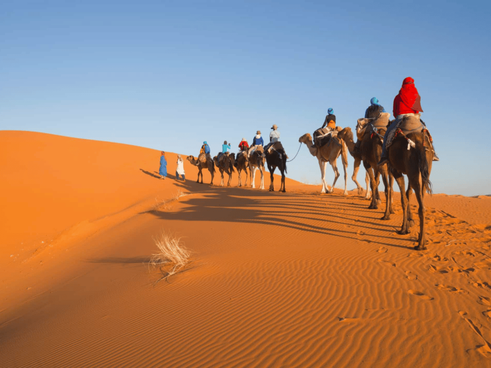 What Is the Best Month to Visit Merzouga?
