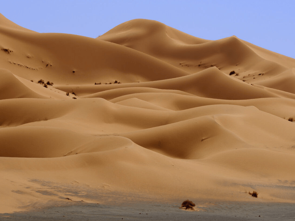 What Are the Best Day Trips from Merzouga?