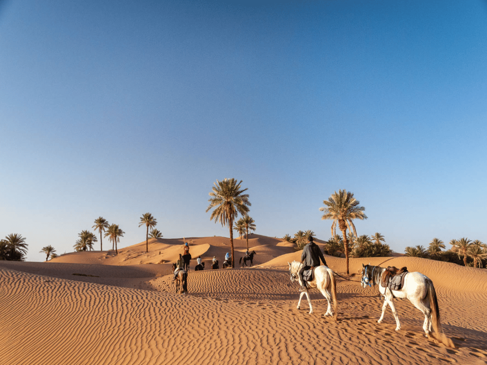 What Are the Best Day Trips from Merzouga?