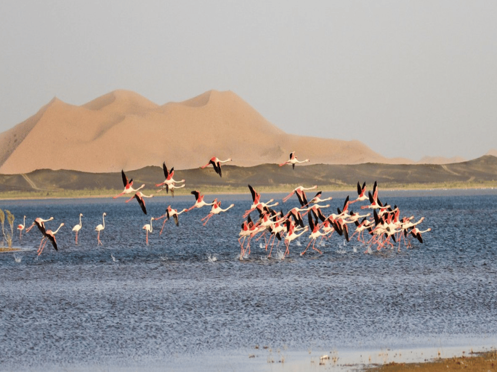 What to Visit Around Merzouga?