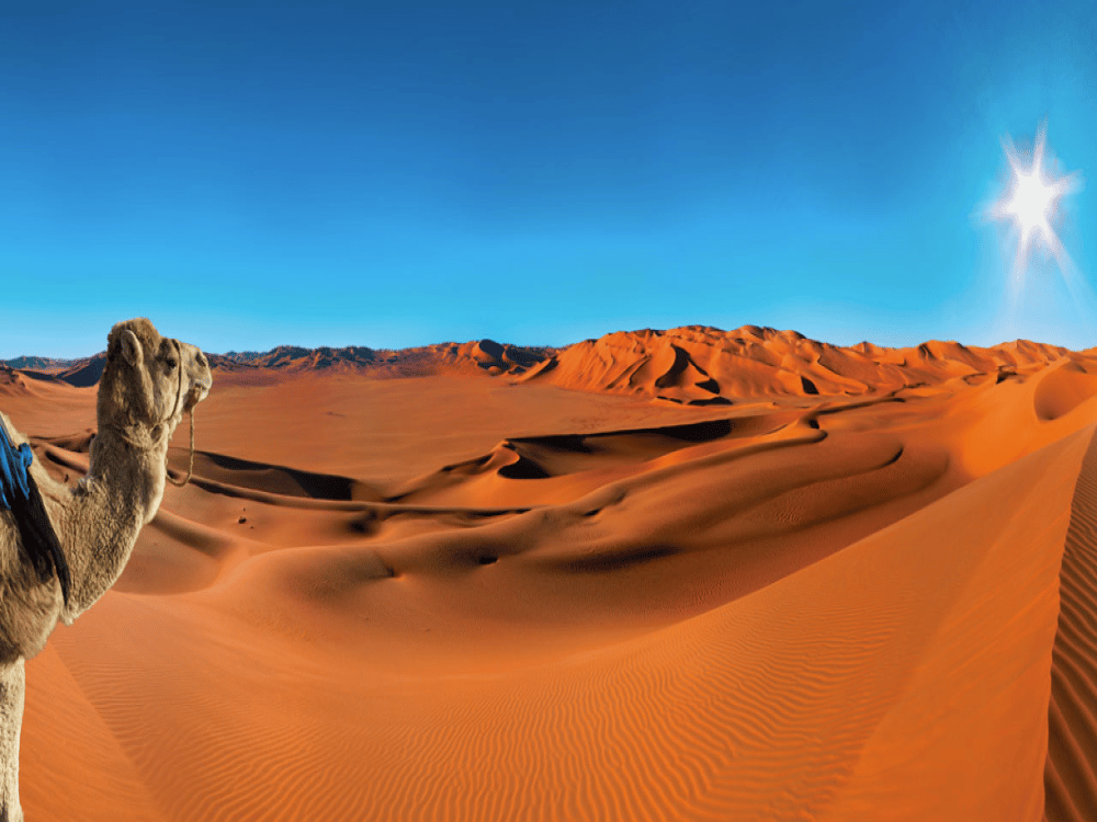 Is There a Lot to Do in Merzouga?