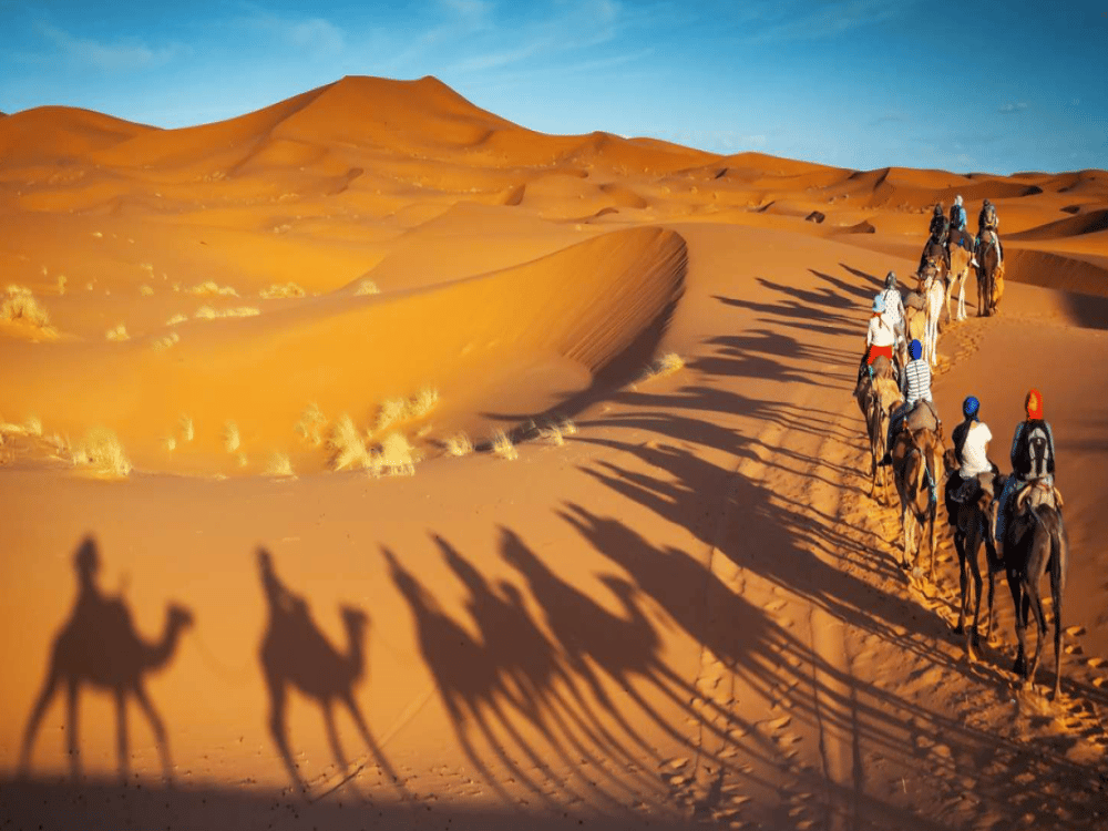 Merzouga : Is There a Lot to Do in Merzouga? | ®ExcursionMania