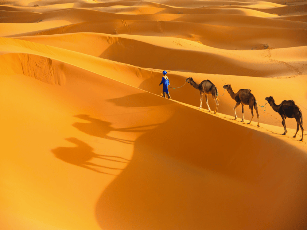 Is There a Lot to Do in Merzouga?
