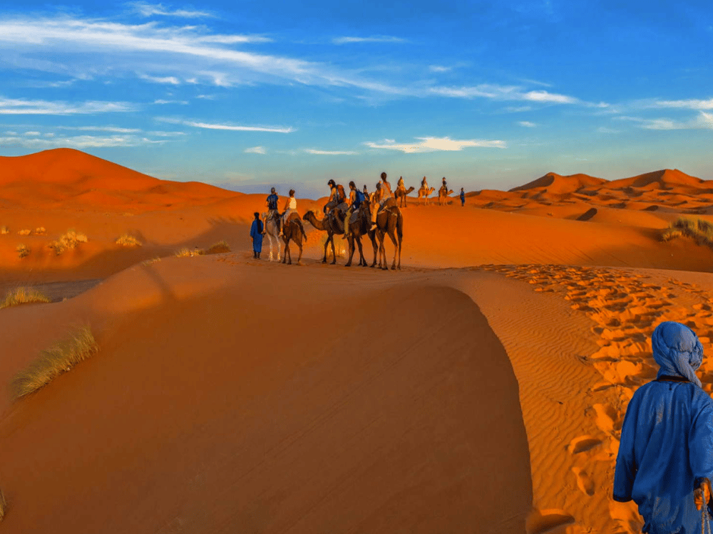 What Should I Do in Merzouga?