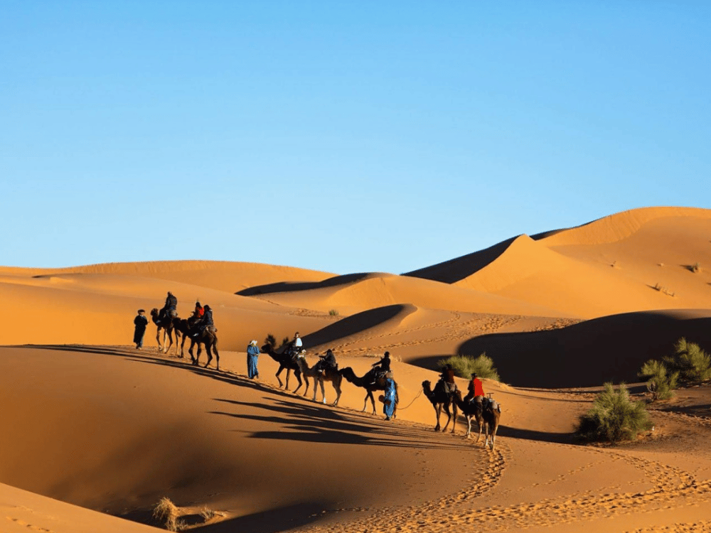 What Should I Do in Merzouga?