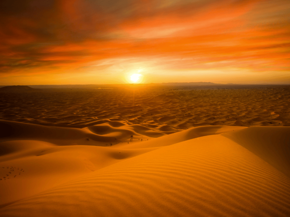 Merzouga : What Should I Do in Merzouga? | ®ExcursionMania