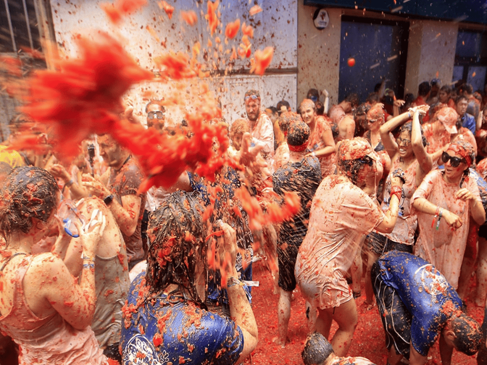 What is a Fun Fact About Kotor?