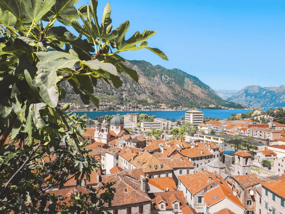 Kotor: What is the Best Month to Visit Kotor? | ®ExcursionMania