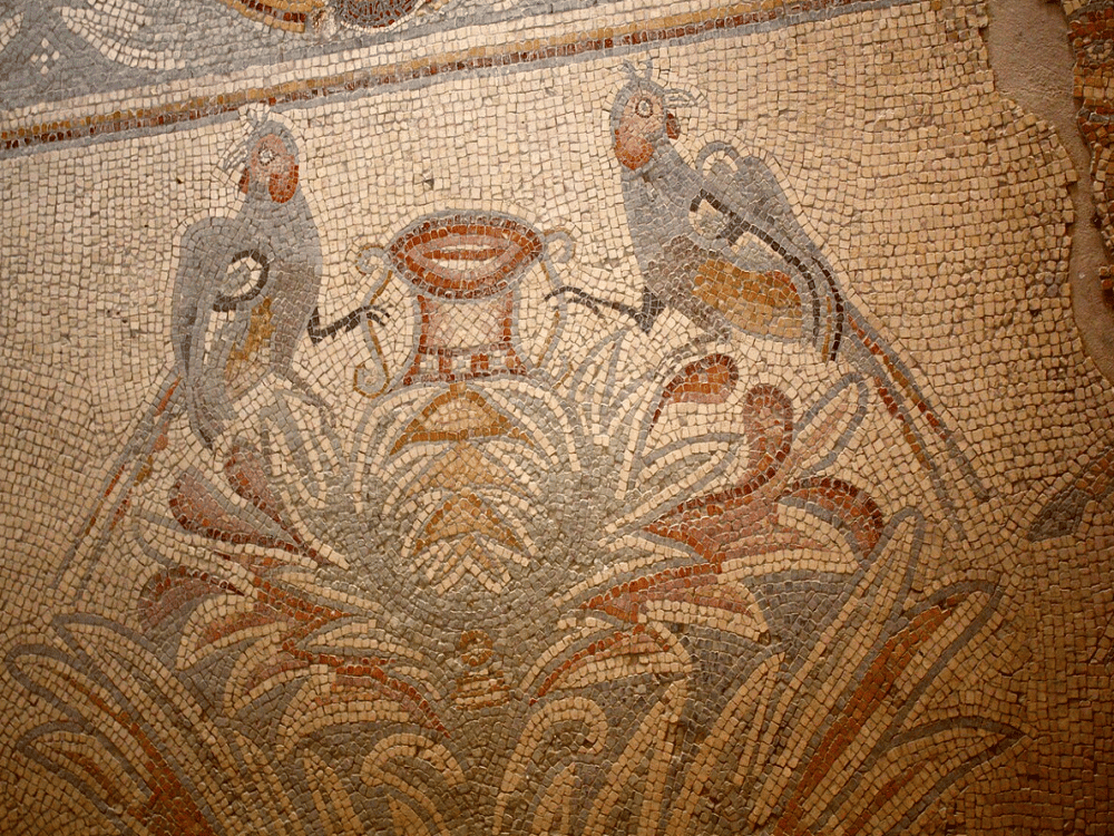 What to Visit Around Madaba?