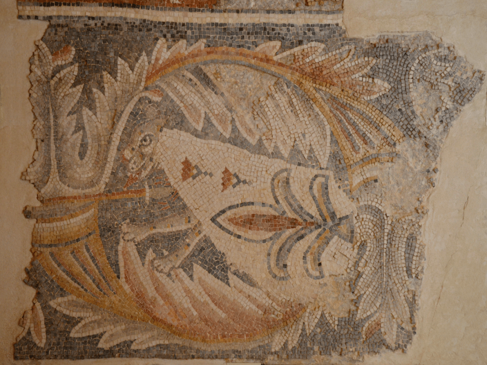 Madaba: What Should I Not Miss in Madaba? | ®ExcursionMania