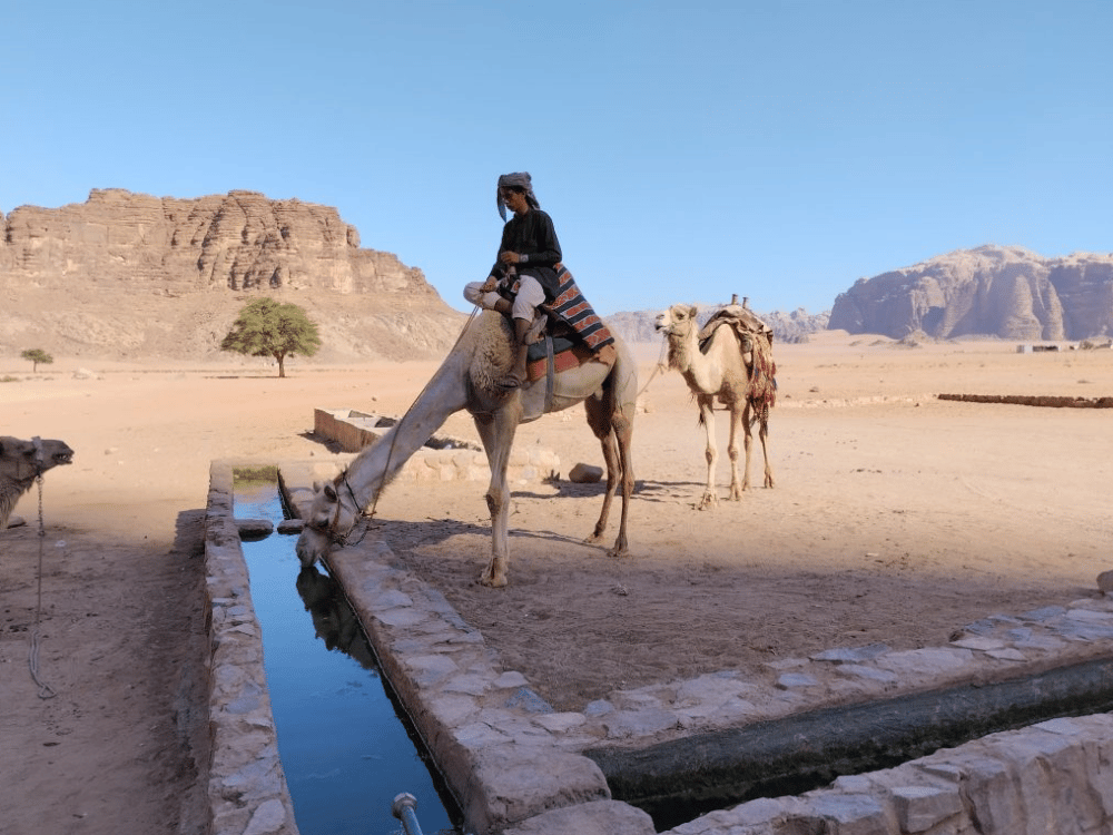 What do people do for fun in Wadi Rum?