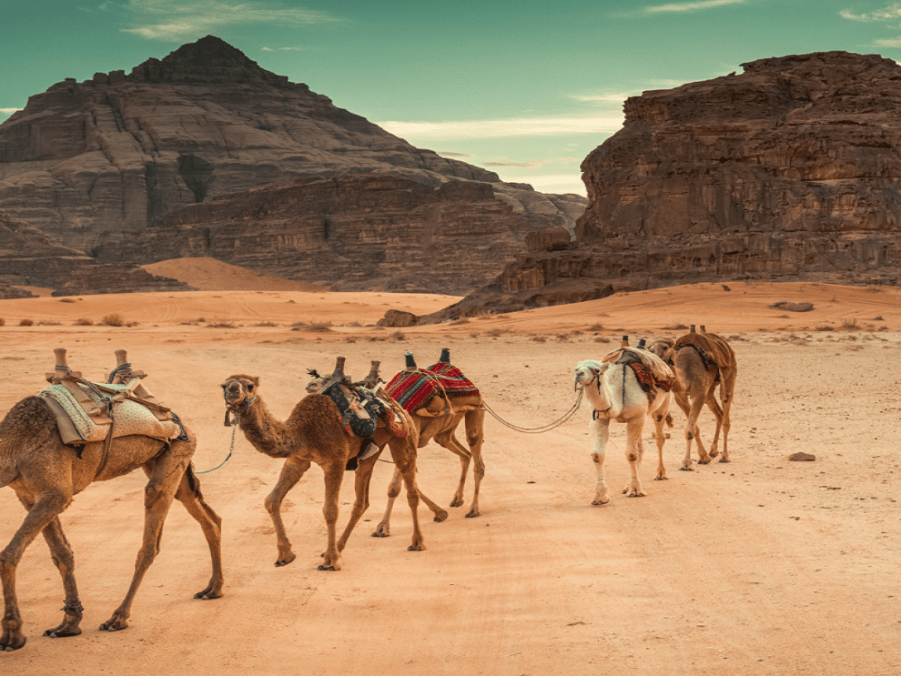 What do people do for fun in Wadi Rum?