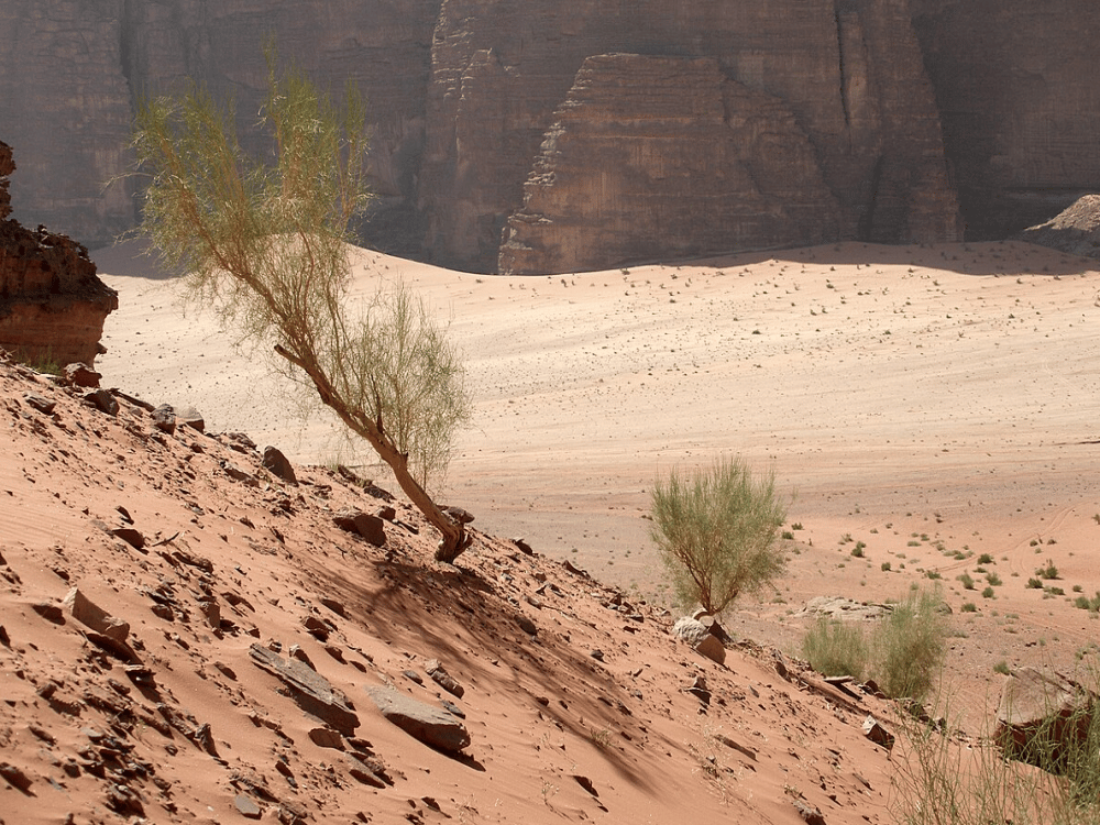 Is Wadi Rum Safe for Tourists?