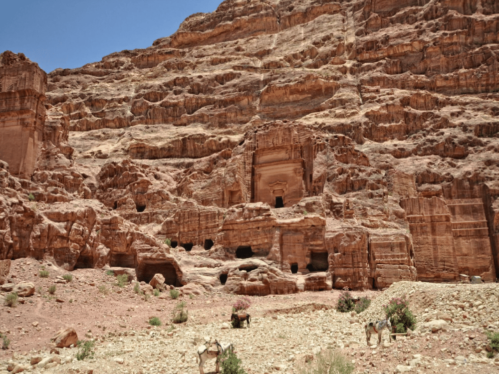 What Is a Fun Fact About Wadi Rum?