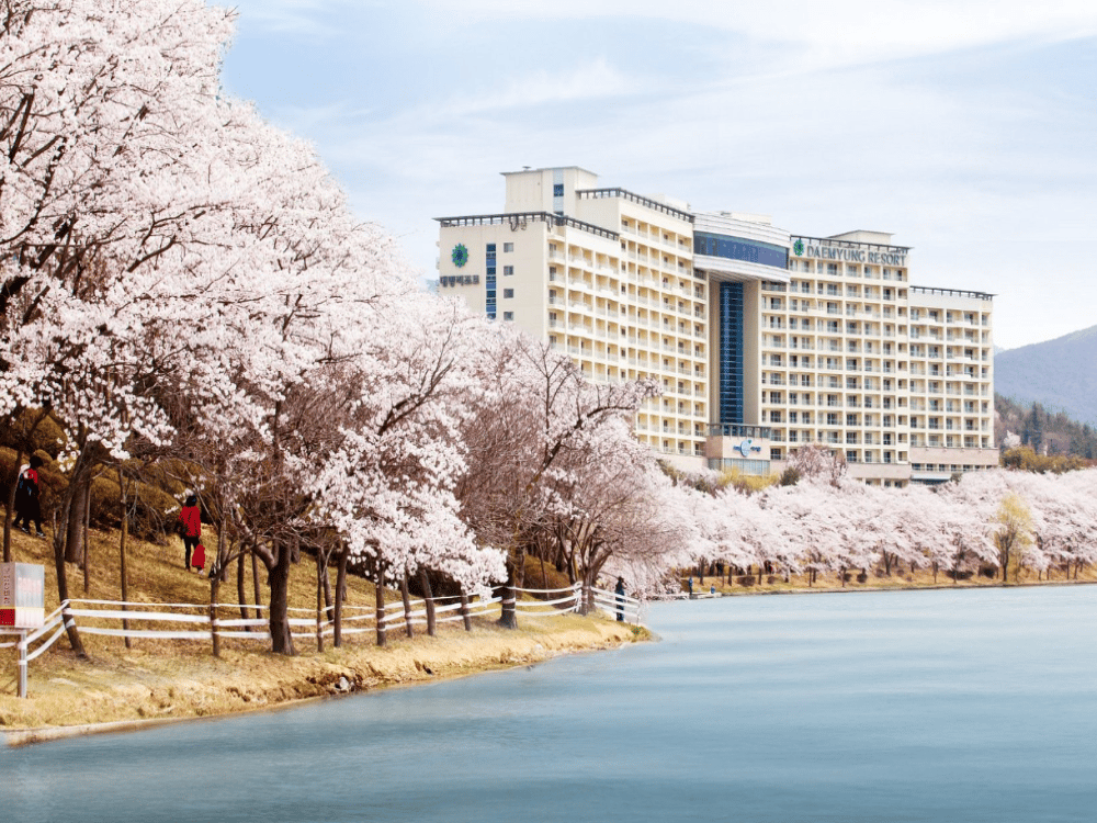 Gyeongju: Hwangnidan-gil | ®ExcursionMania