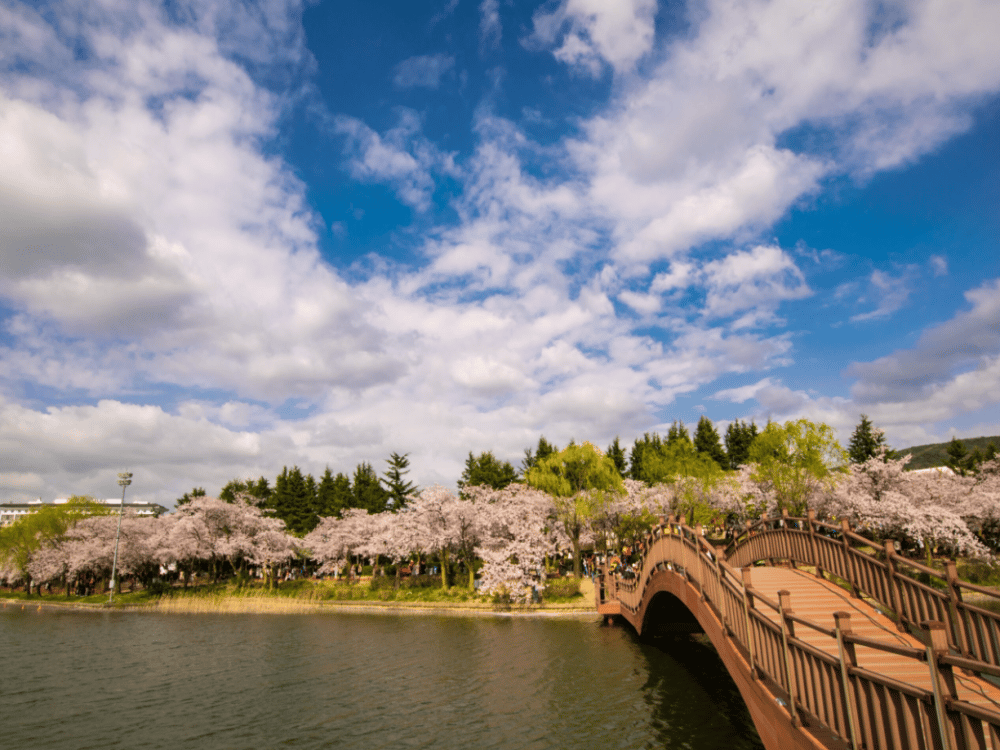 Gyeongju: Bomun Lake | ®ExcursionMania