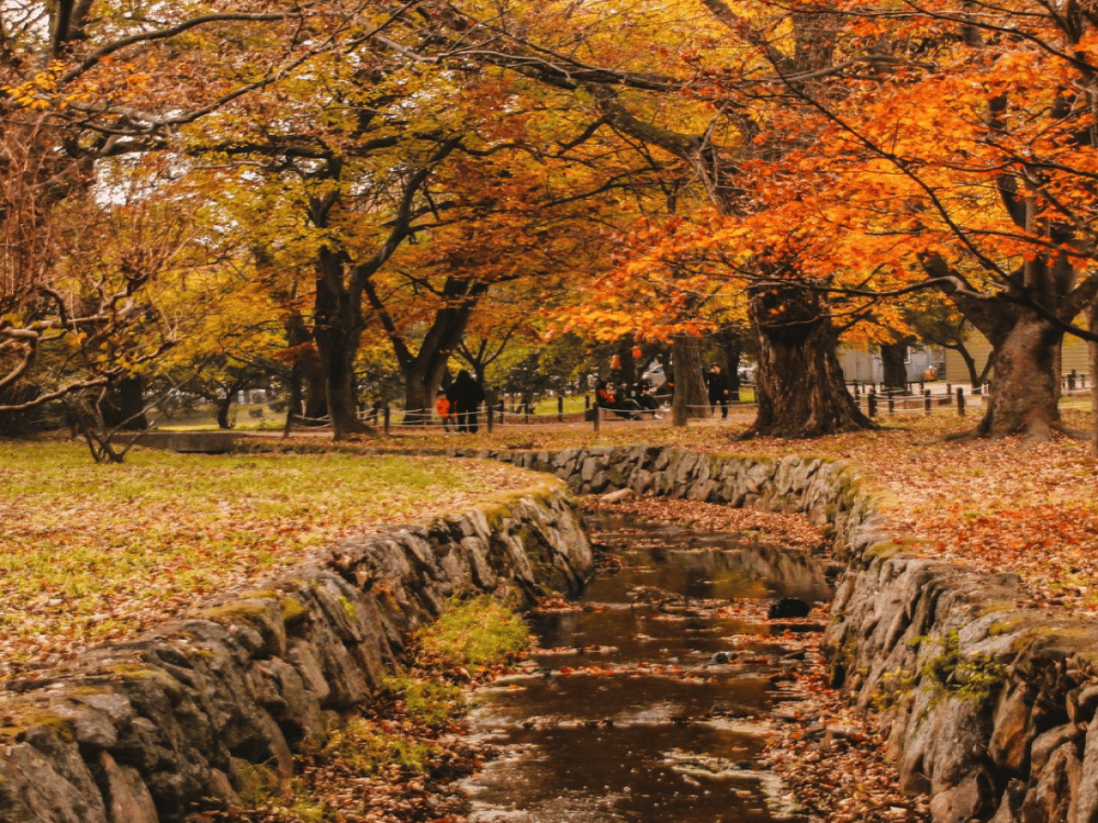 Gyeongju: Gyerim Forest | ®ExcursionMania