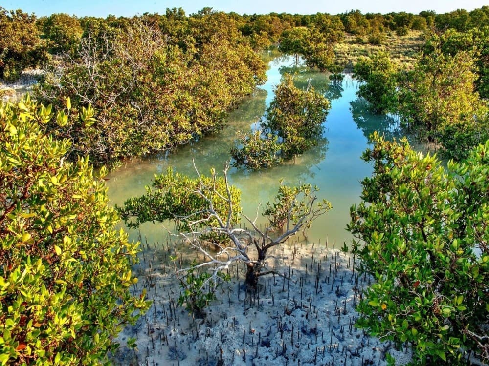 What Are the Top Day Trips from Doha?