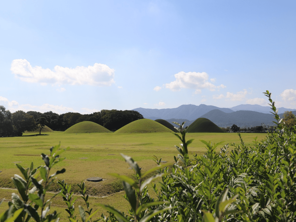 Gyeongju: Geumgwanchong Tomb | ®ExcursionMania