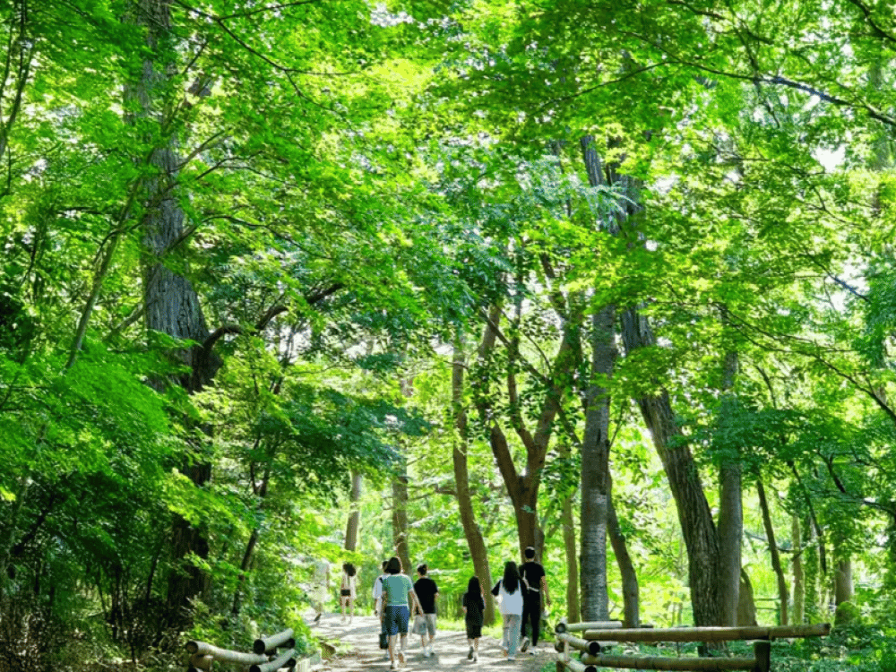 Silla Millennium Park