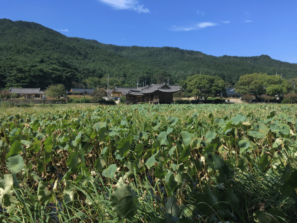Gyeongju: Seochulji Pond | ®ExcursionMania