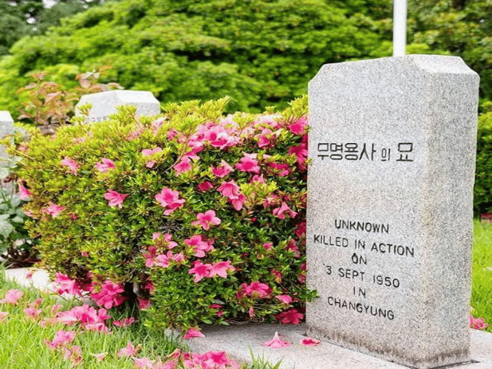 Busan: The UN Memorial Cemetery | ®ExcursionMania