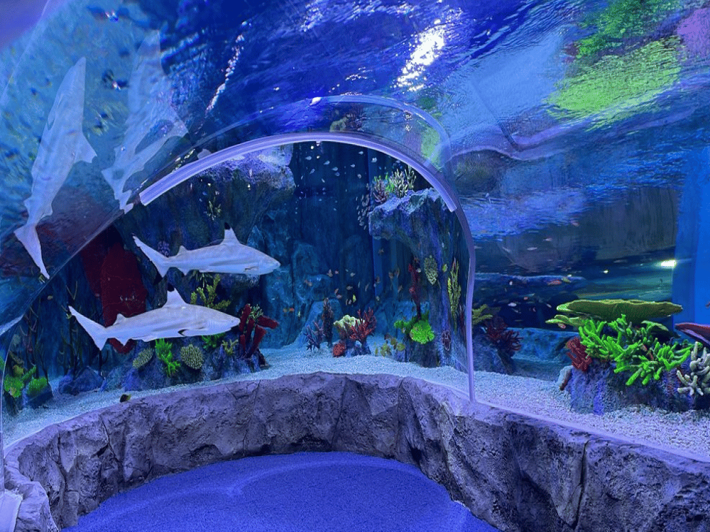 SEALIFE Busan Aquarium