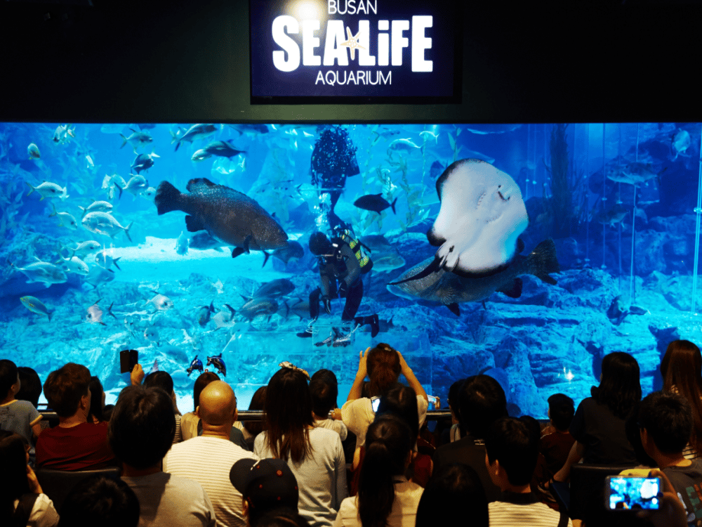 SEALIFE Busan Aquarium