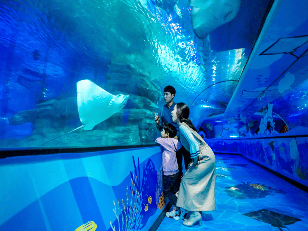 SEALIFE Busan Aquarium