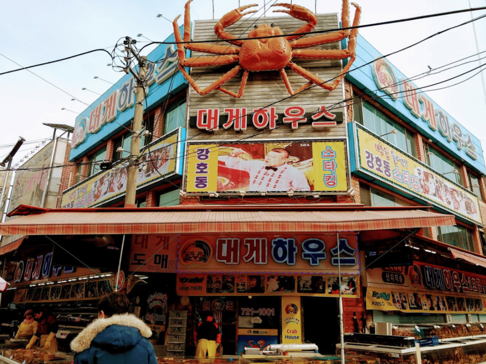 Busan: Gijang Market | ®ExcursionMania