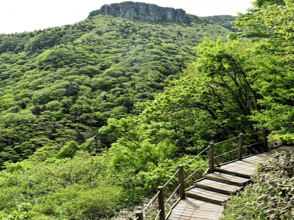 Hallasan National Park