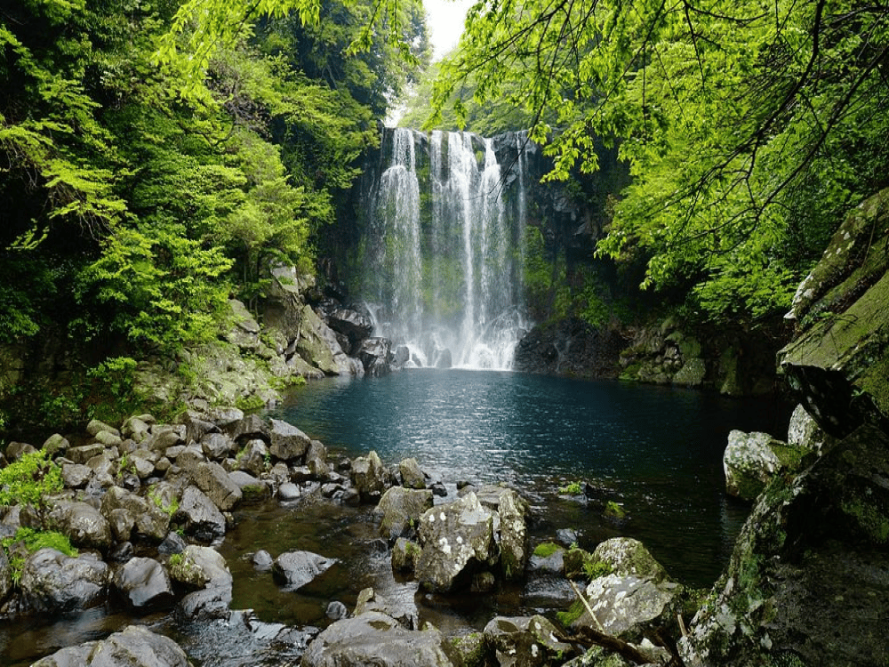 Jeju: Cheonjiyeon Waterfall | ®ExcursionMania