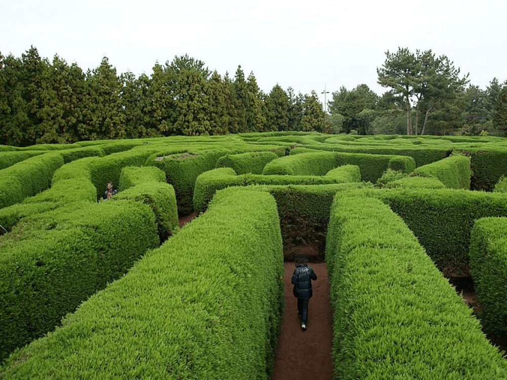 Jeju: Gimnyeong Maze Park | ®ExcursionMania
