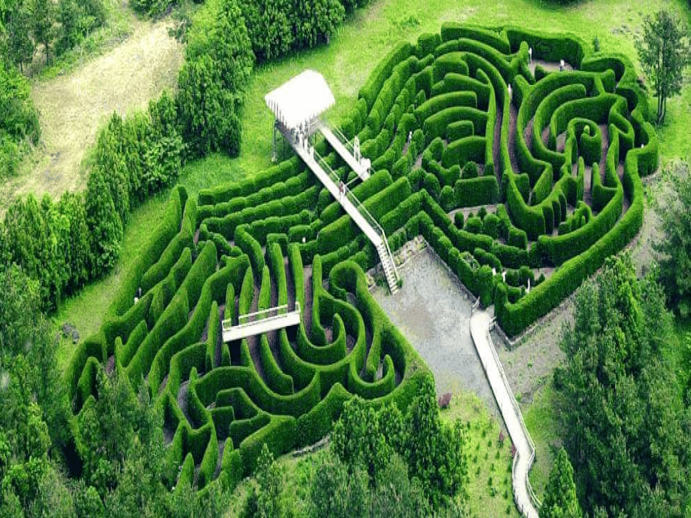 Gimnyeong Maze Park