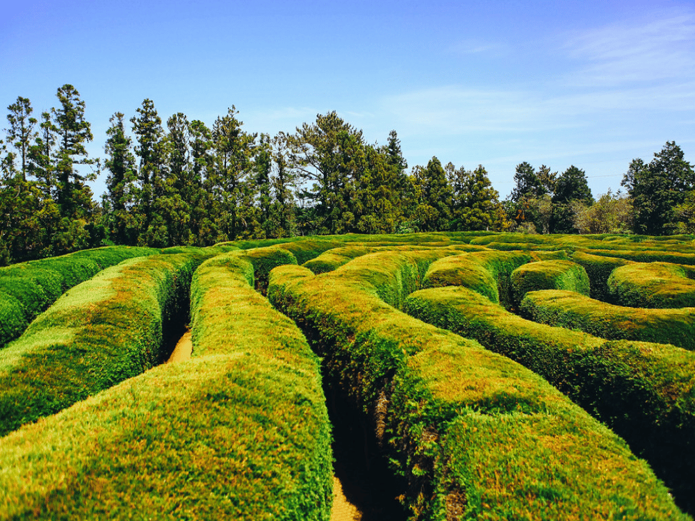 Gimnyeong Maze Park