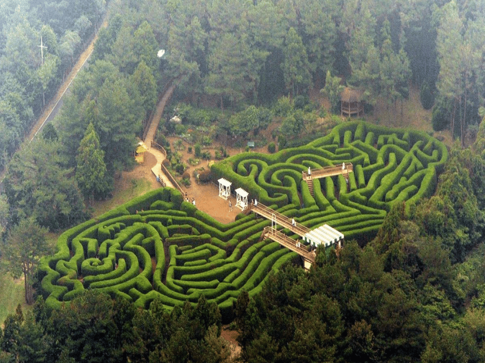 Gimnyeong Maze Park