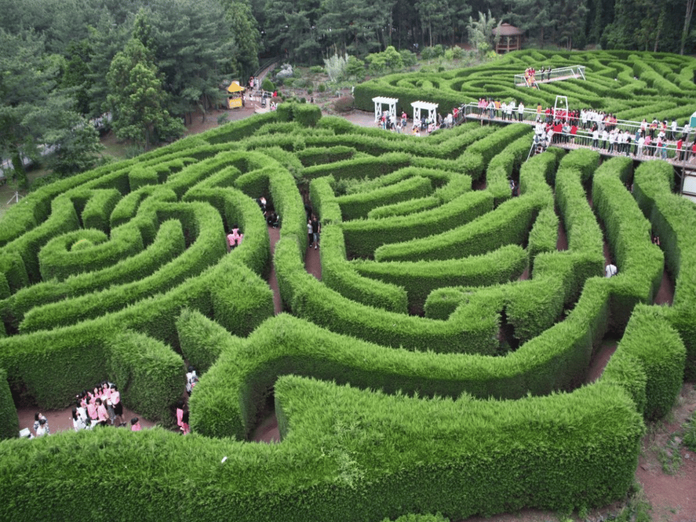 Gimnyeong Maze Park