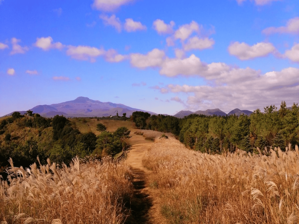 Jeju: Sangumburi Crater | ®ExcursionMania